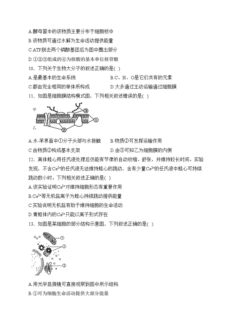 辽宁省大连市2023-2024学年高一上学期期末考试生物试卷(含答案)03