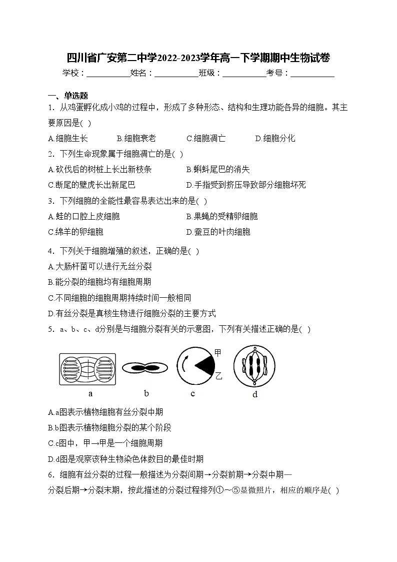 四川省广安第二中学2022-2023学年高一下学期期中生物试卷(含答案)01