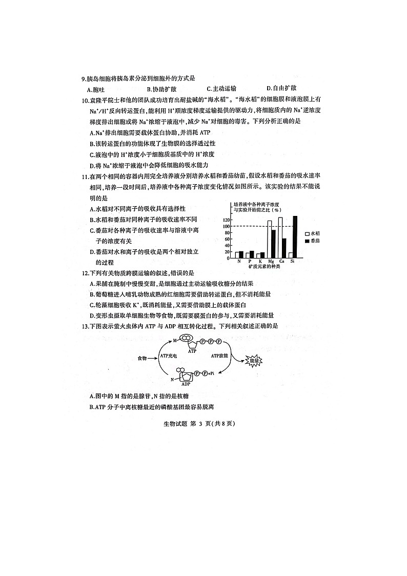 山东省临沂市2023-2024学年高一上学期1月期末生物试题03