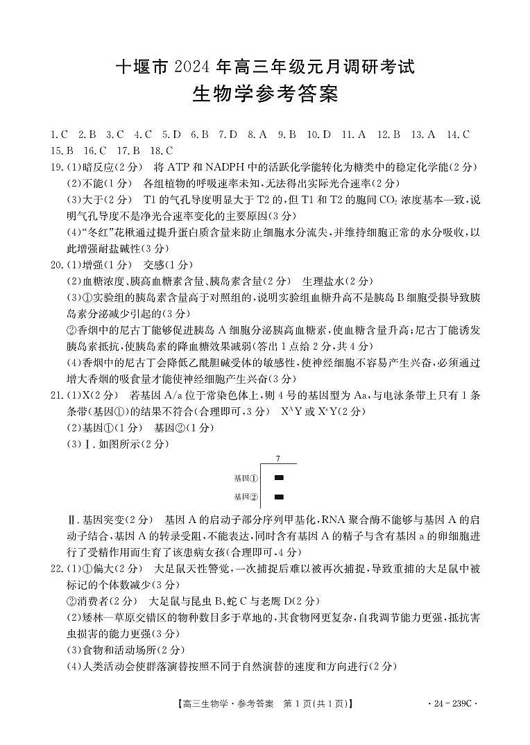 生物239C答案第1页