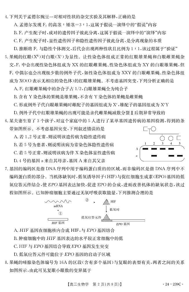 【教研室提供】湖北省十堰市2023-2024学年高三上学期期末考试生物试题第2页