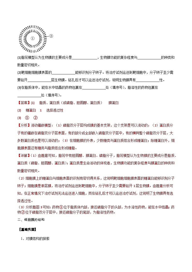 第02讲 细胞膜的成分、结构、功能和物质出入细胞-【寒假衔接讲义】高一生物寒假讲义练习03