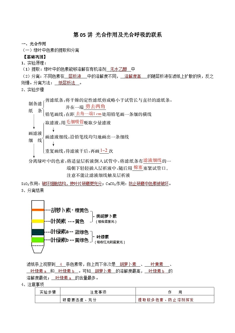 第05讲 光合作用及光合呼吸的联系-【寒假衔接讲义】高一生物寒假讲义练习01