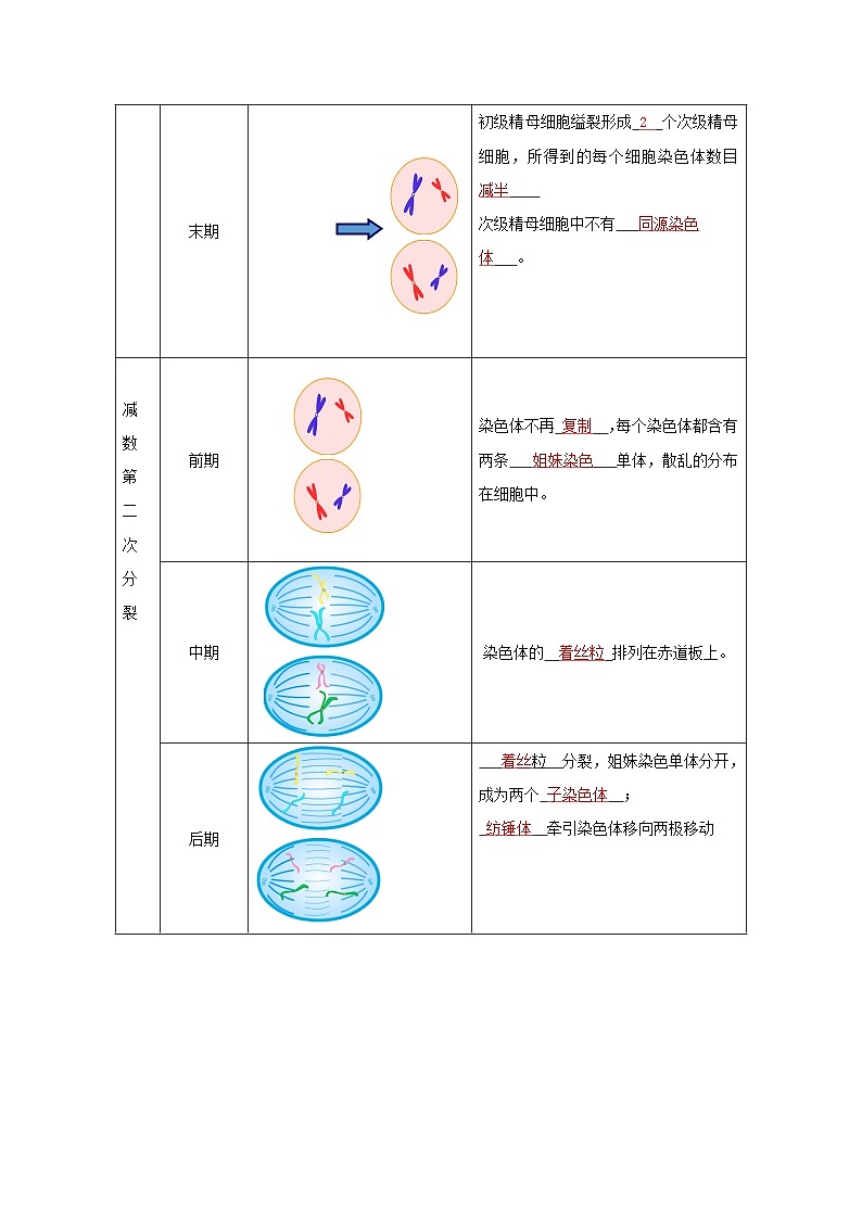 第06讲 减数分裂和受精作用-【寒假衔接讲义】高一生物寒假讲义练习03