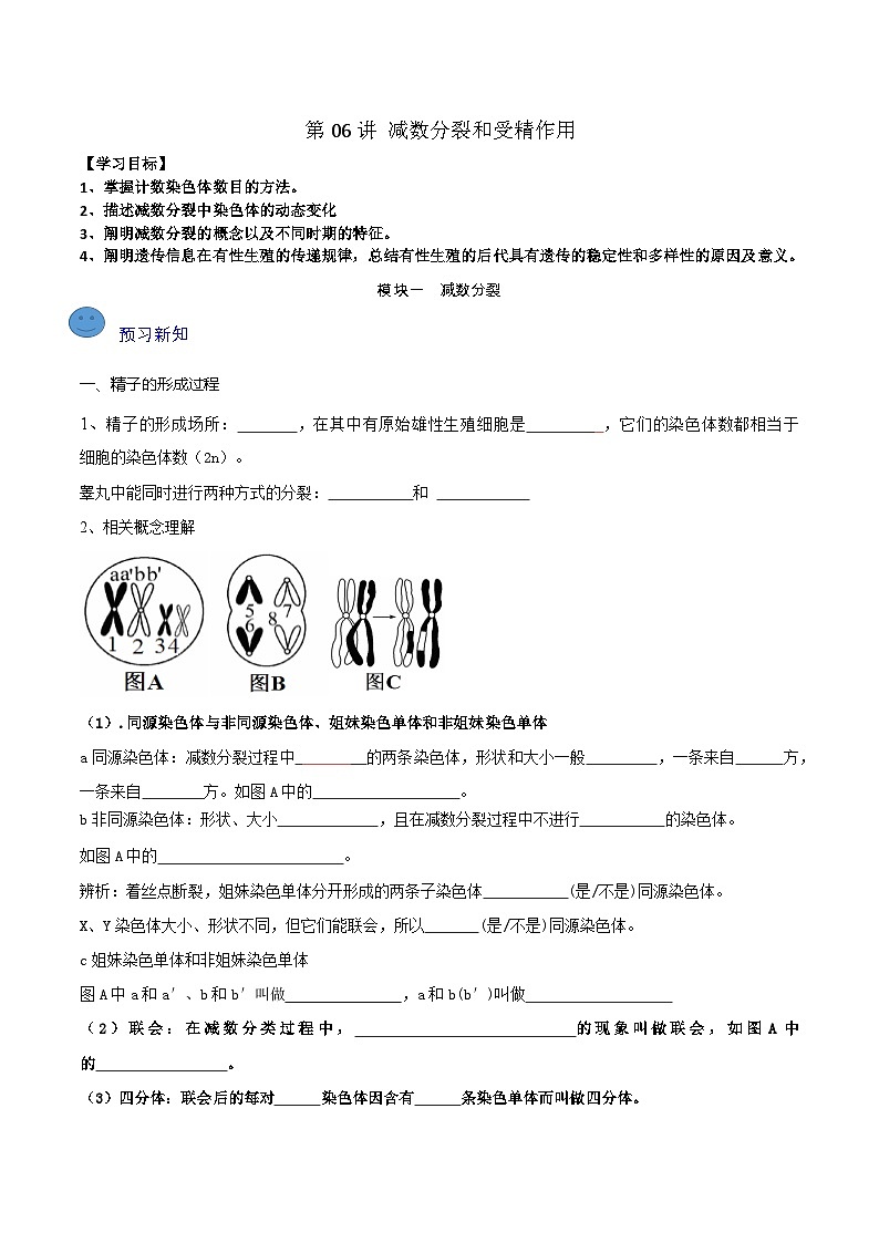 第06讲 减数分裂和受精作用-【寒假衔接讲义】高一生物寒假讲义练习01
