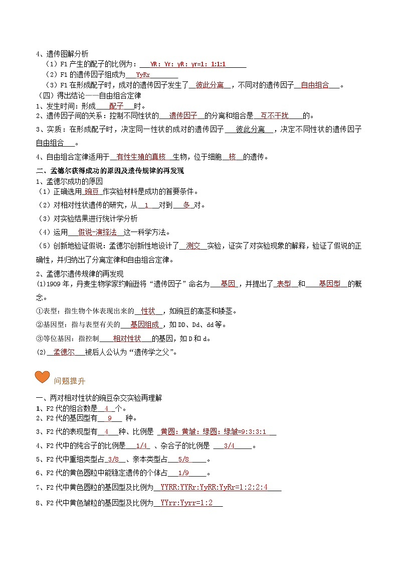 第08讲 孟德尔的豌豆杂交实验（二）-【寒假衔接讲义】高一生物寒假讲义练习03