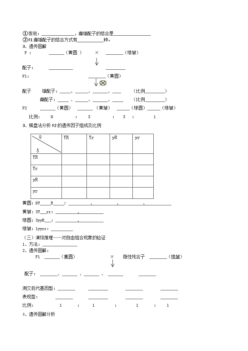 第08讲 孟德尔的豌豆杂交实验（二）-【寒假衔接讲义】高一生物寒假讲义练习02
