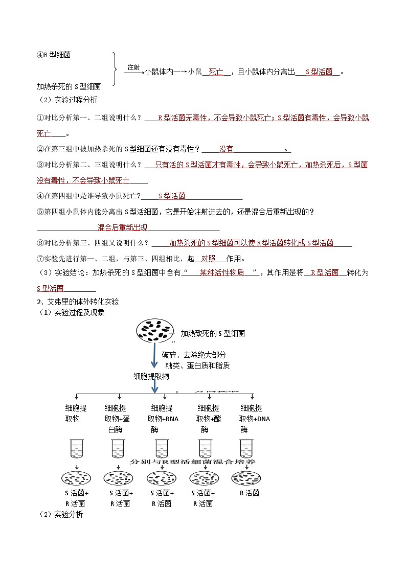 第09讲 DNA是主要的遗传物质-【寒假衔接讲义】高一生物寒假讲义练习02