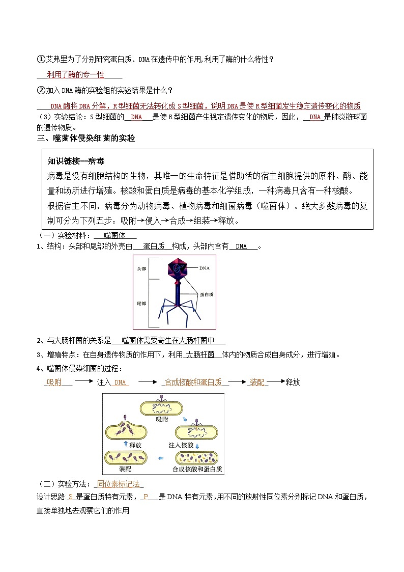 第09讲 DNA是主要的遗传物质-【寒假衔接讲义】高一生物寒假讲义练习03