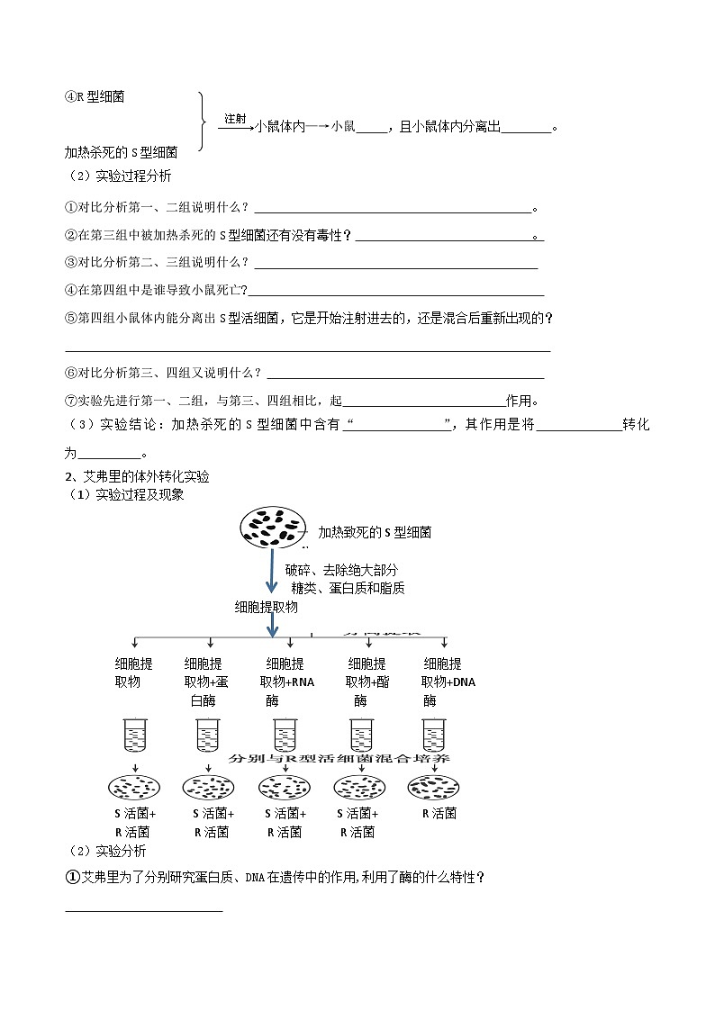 第09讲 DNA是主要的遗传物质-【寒假衔接讲义】高一生物寒假讲义练习02