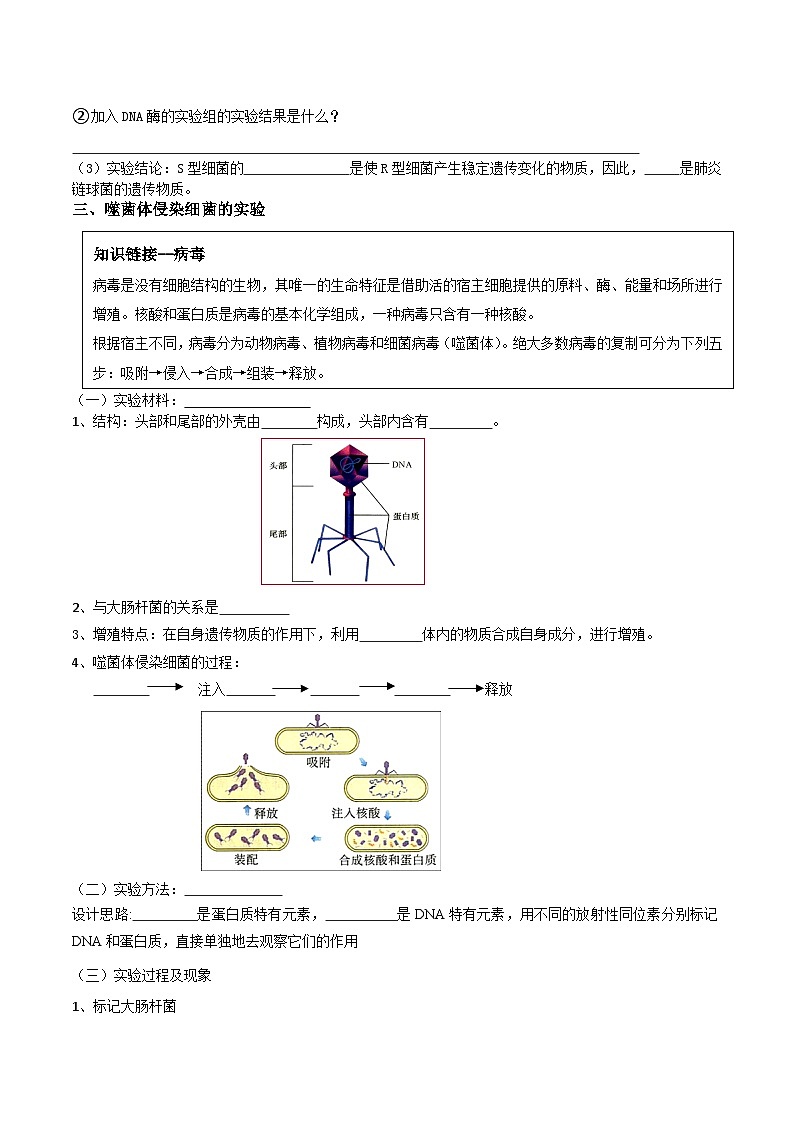 第09讲 DNA是主要的遗传物质-【寒假衔接讲义】高一生物寒假讲义练习03
