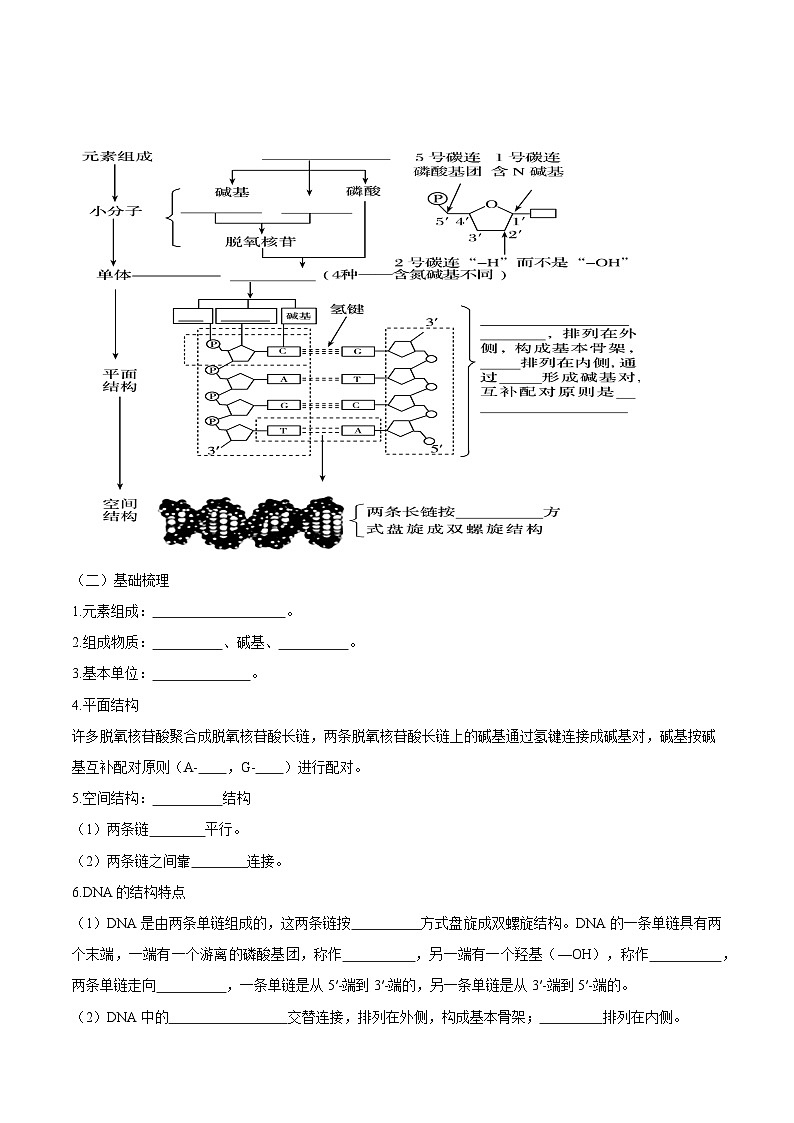 第10讲 DNA的结构-【寒假衔接讲义】高一生物寒假讲义练习02