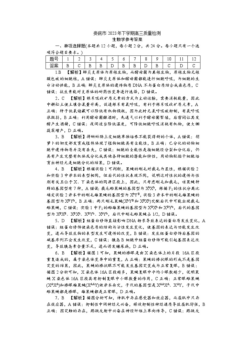 湖南省娄底市2024届高三上学期期末考试生物01