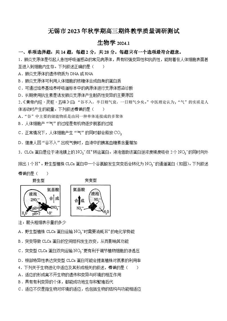 江苏省无锡市2023-2024学年高三上学期教学质量调研测试生物试题(无答案)01