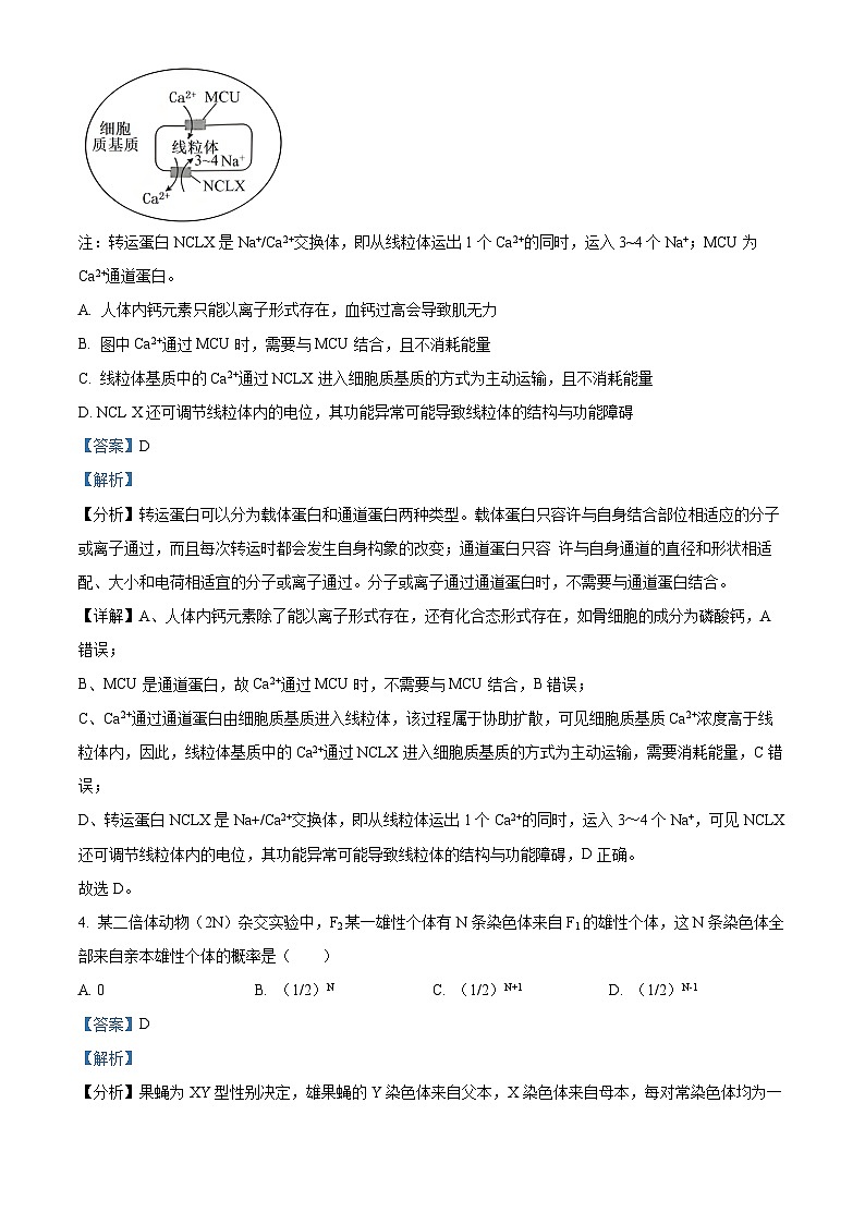 湖北省恩施州高中教育联盟2023-2024学年高二上学期期末考试生物试题（Word版附解析）第3页