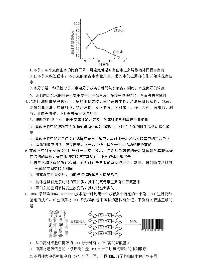 湖北省荆州市八县市2023-2024学年高一上学期1月期末考试生物试题（Word版附解析）第2页
