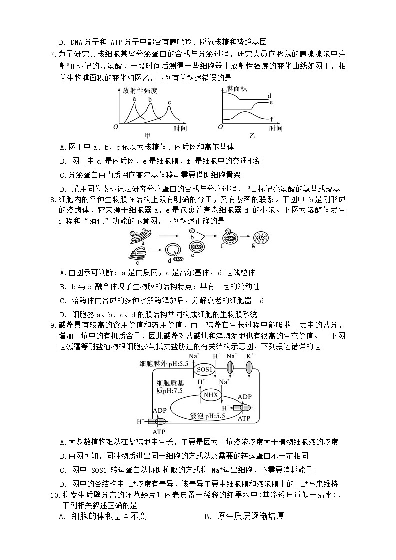 湖北省荆州市八县市2023-2024学年高一上学期1月期末考试生物试题（Word版附解析）第3页