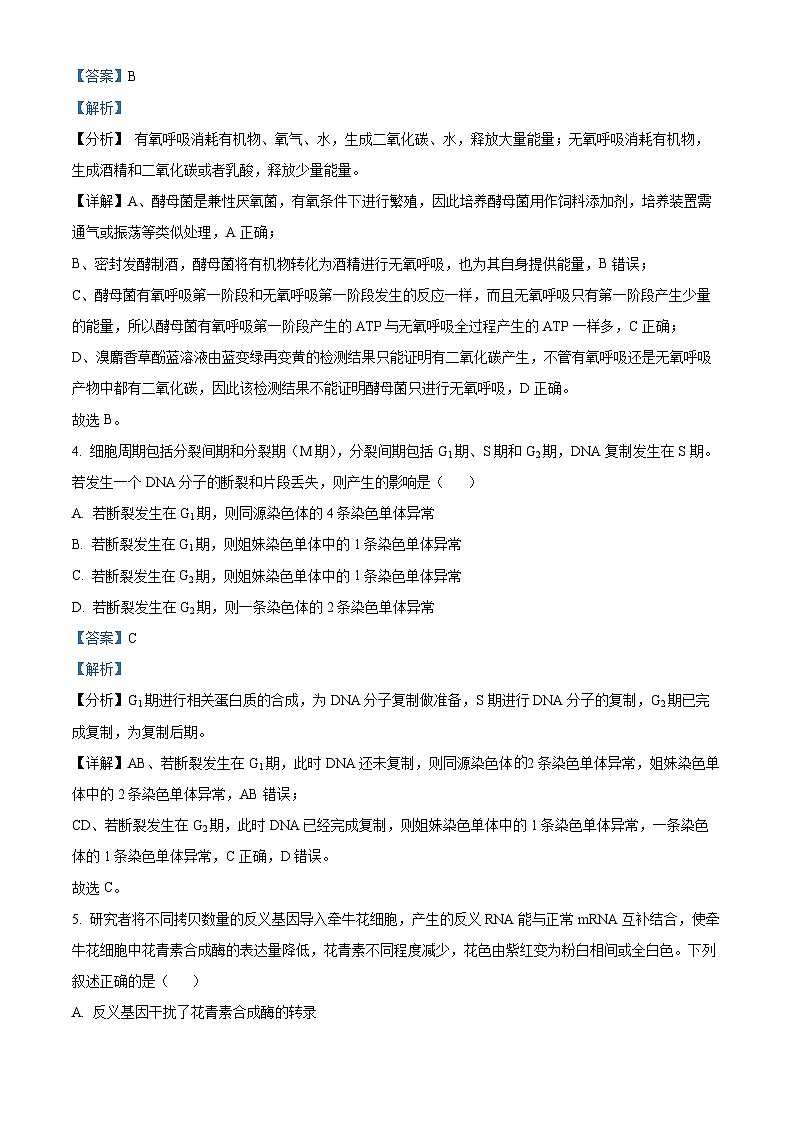 湖北省武汉市武昌区2023-2024学年高三上学期期末质量检测生物试题（Word版附解析）03