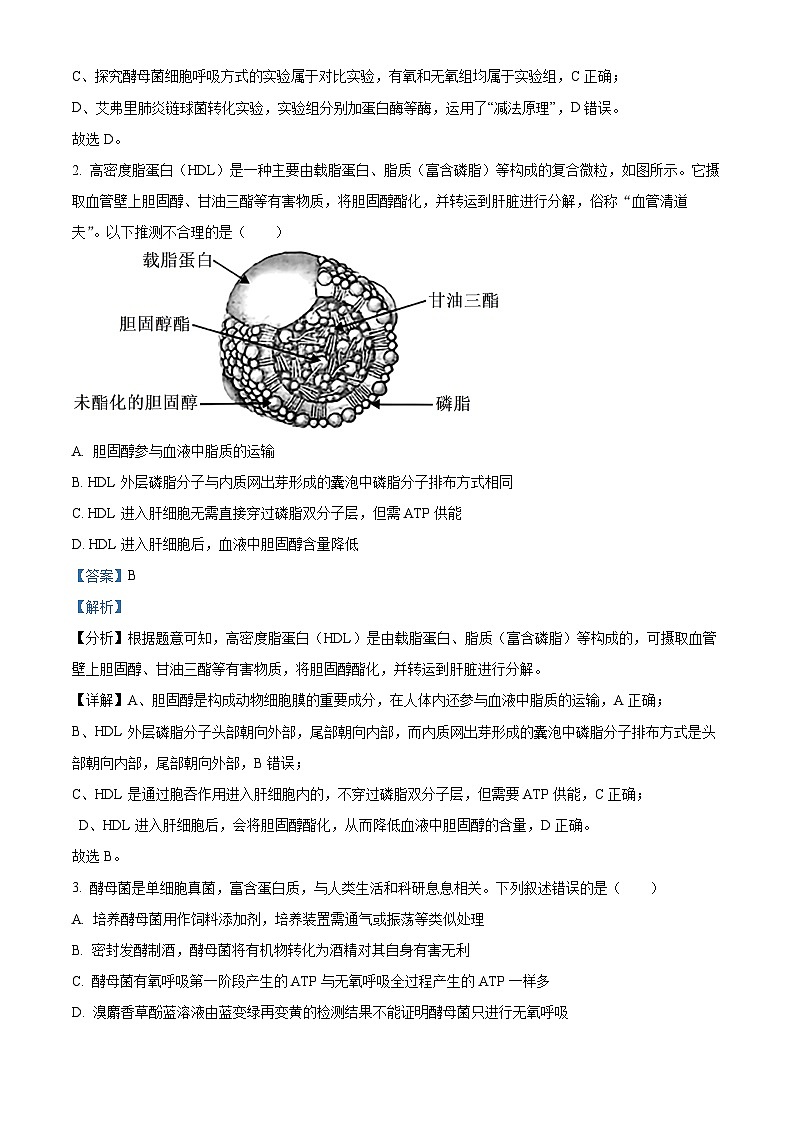 湖北省武汉市武昌区2023-2024学年高三上学期期末质量检测生物试题（Word版附解析）02