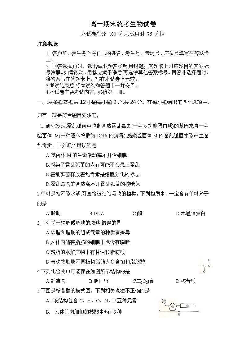 湖南省衡阳市祁东县2023-2024学年高一上学期期末统考生物试题（Word版附答案）第1页