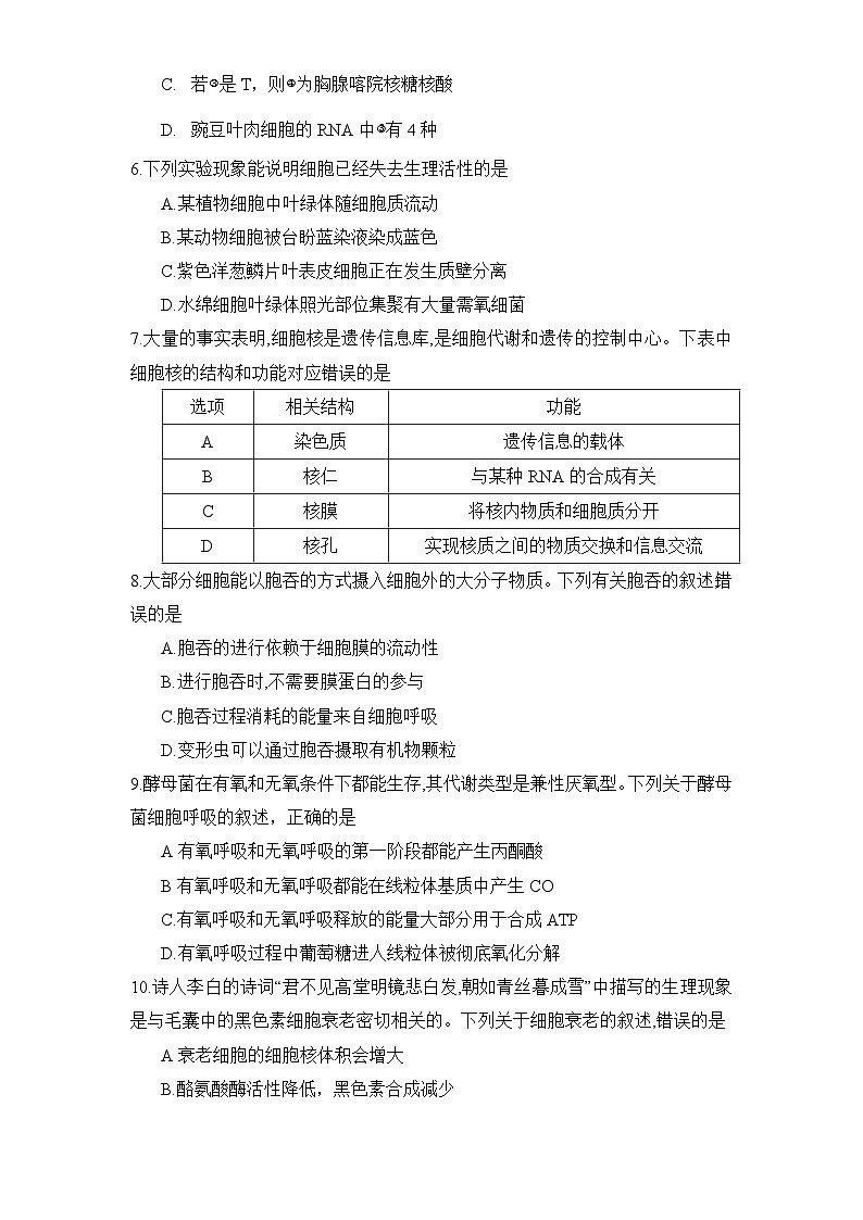 湖南省衡阳市祁东县2023-2024学年高一上学期期末统考生物试题（Word版附答案）第2页