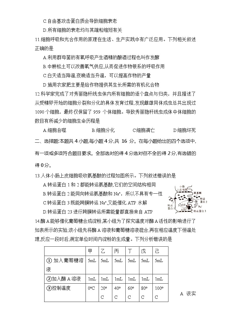 湖南省衡阳市祁东县2023-2024学年高一上学期期末统考生物试题（Word版附答案）第3页