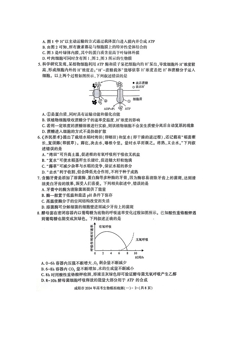 陕西省咸阳市2024高考第一次模拟考试生物02
