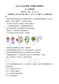 江苏省泰州市2023-2024学年高一上学期1月期末考试生物试题（Word版附解析）