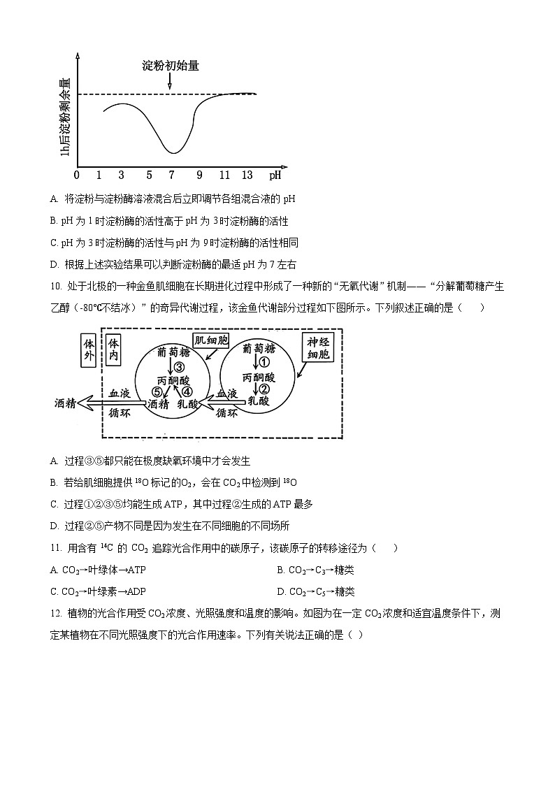 江苏省泰州市2023-2024学年高一上学期1月期末考试生物试题（Word版附解析）第3页