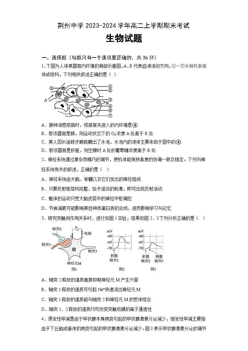 2024荆州中学高二上学期期末考试生物含答案01