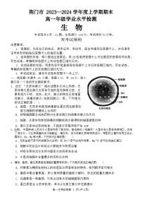 2024荆门高一上学期1月期末生物试题含答案