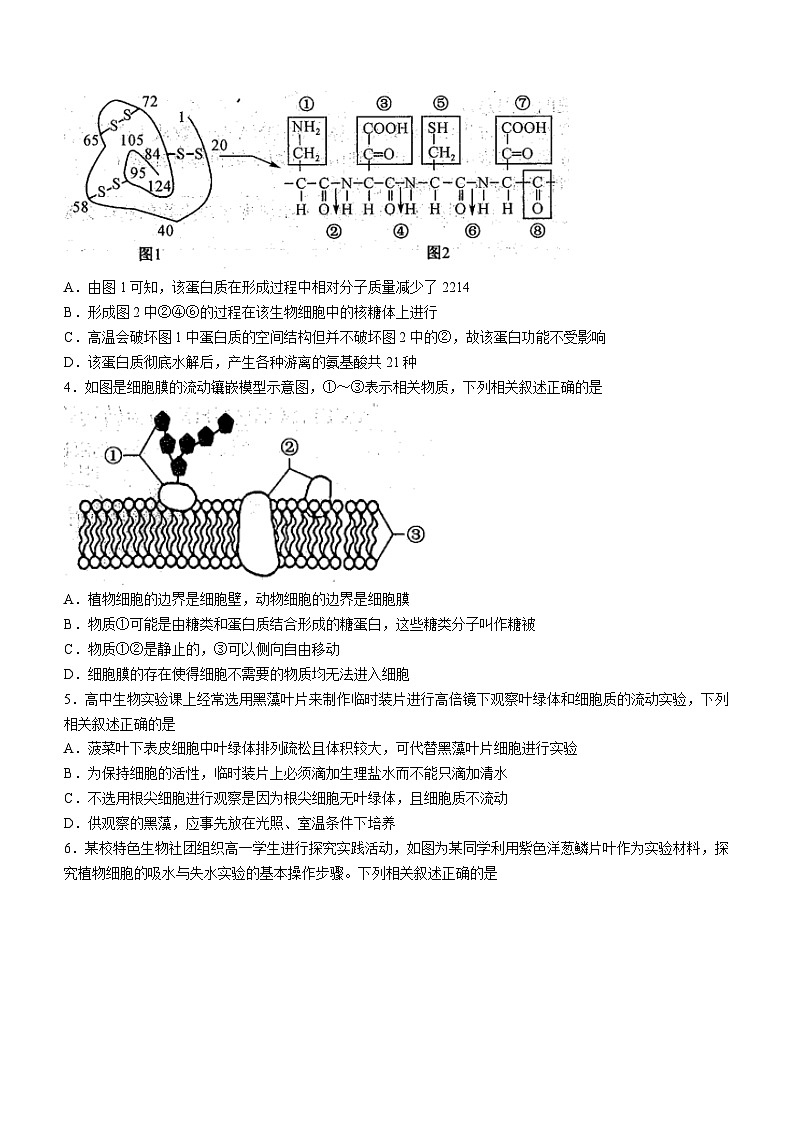 2024阜阳高一上学期期末联考试题生物含解析02