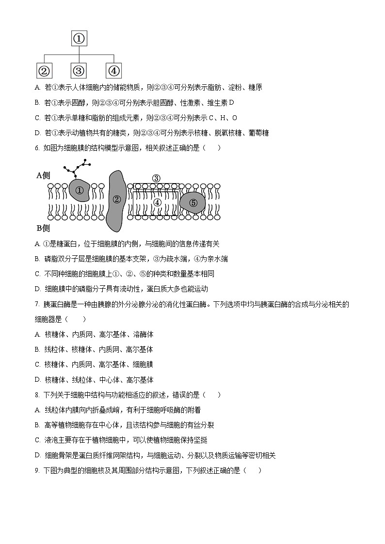 2024长沙明德中学高一上学期期末生物试题含解析02