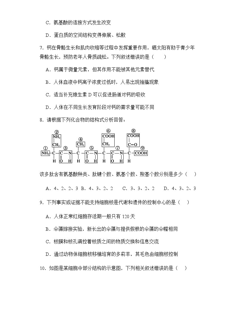 2024乌鲁木齐实验学校高一上学期1月期末考试生物含解析03