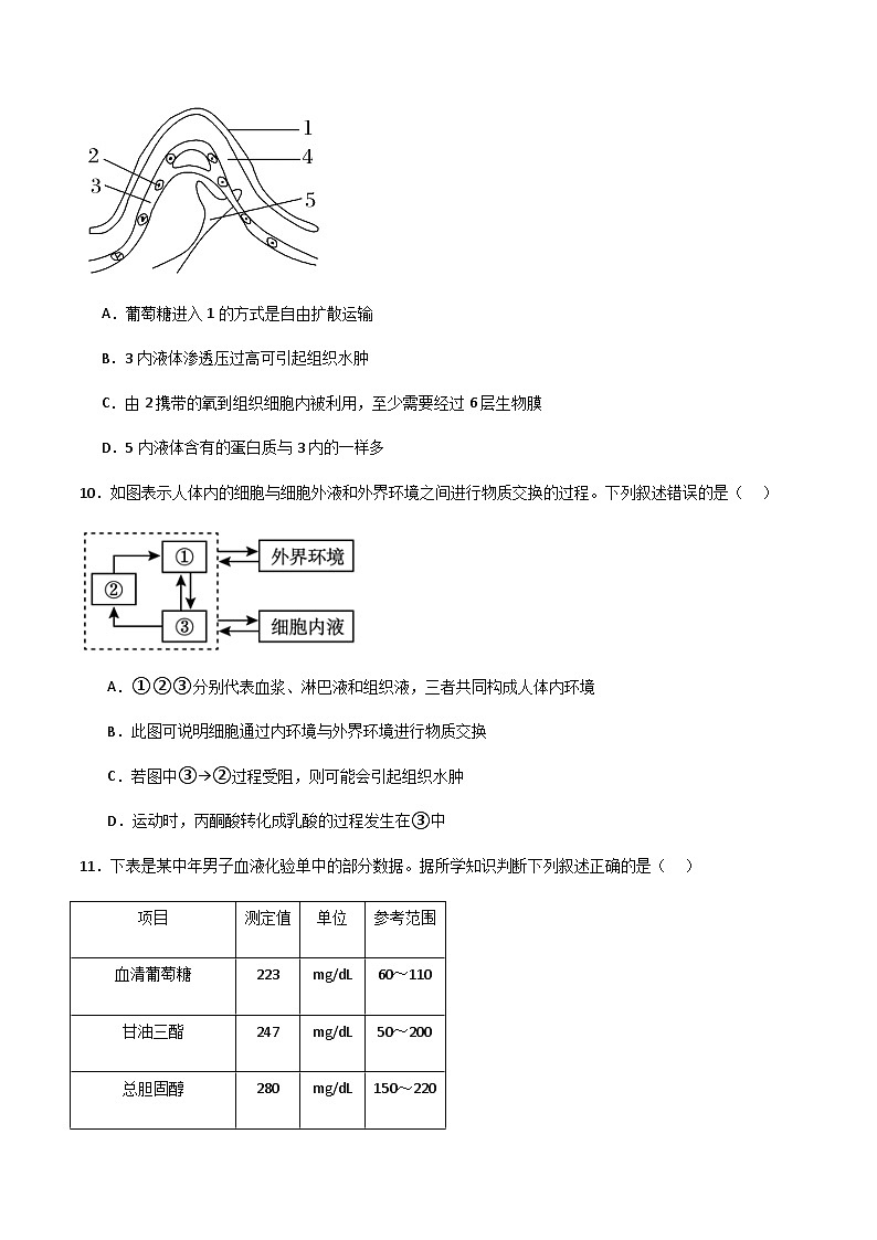 第1章 人体的内环境与稳态（章末测试）-2023-2024学年高二生物同步精品课件+分层训练（人教版2019选择性必修1）03