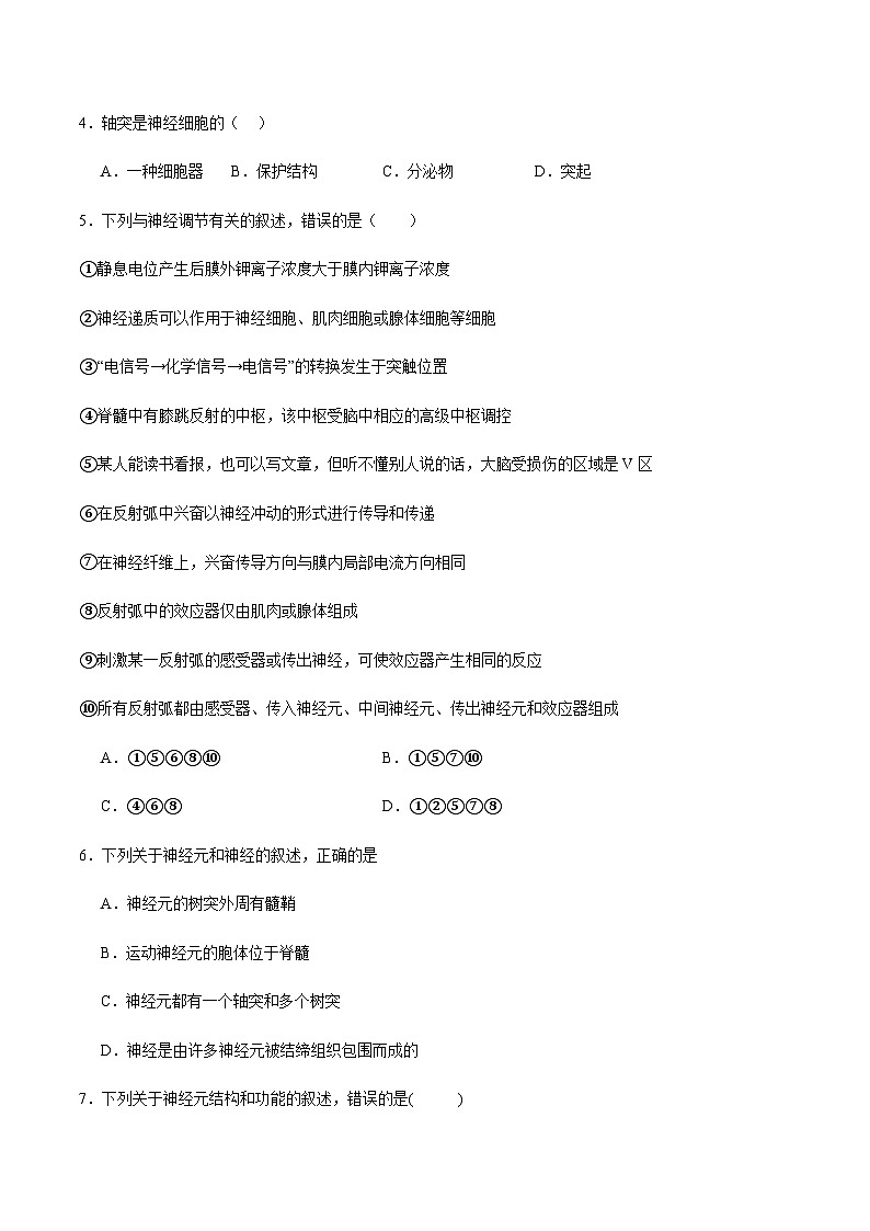 2.1 神经系统的结构基础（分层训练）-2023-2024学年高二生物同步精品课件+分层训练（人教版2019选择性必修1）02
