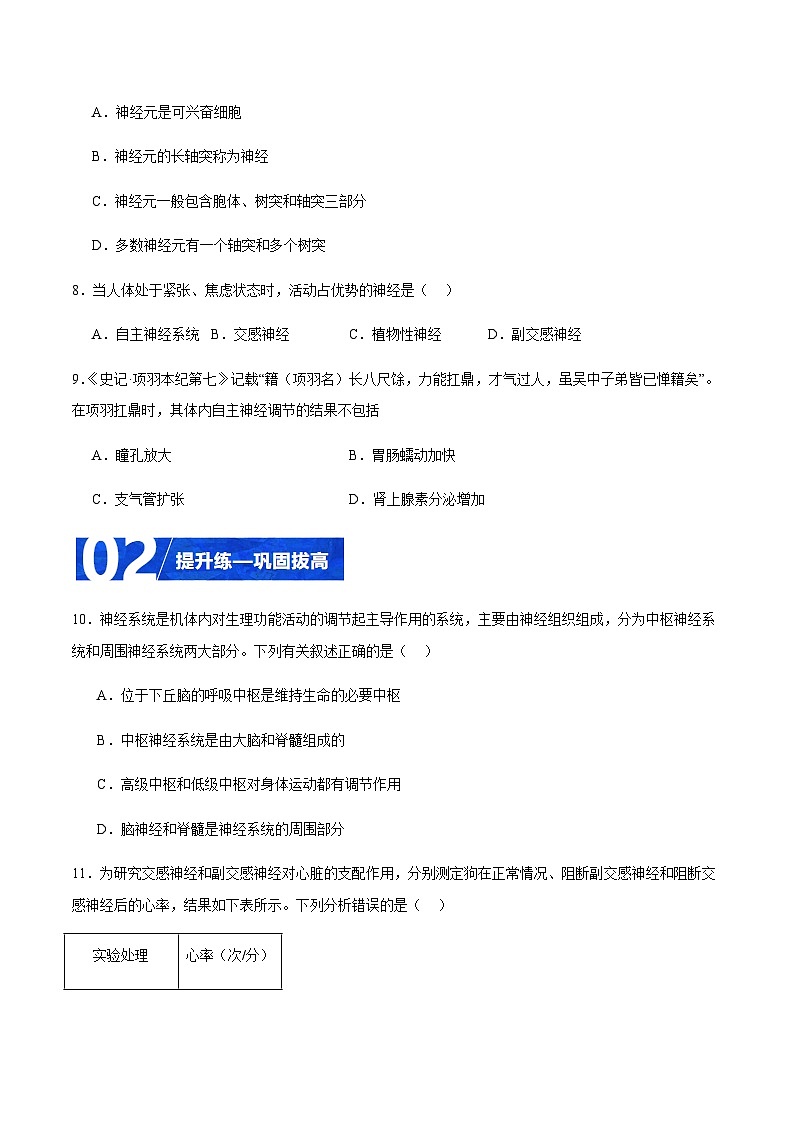 2.1 神经系统的结构基础（分层训练）-2023-2024学年高二生物同步精品课件+分层训练（人教版2019选择性必修1）03