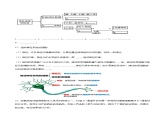 2.1 神经系统的结构基础（分层训练）-2023-2024学年高二生物同步精品课件+分层训练（人教版2019选择性必修1）