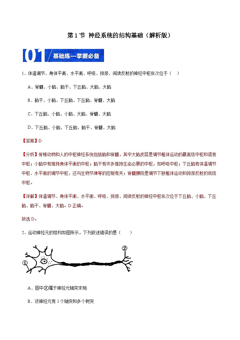 2.1 神经系统的结构基础（分层训练）-2023-2024学年高二生物同步精品课件+分层训练（人教版2019选择性必修1）01