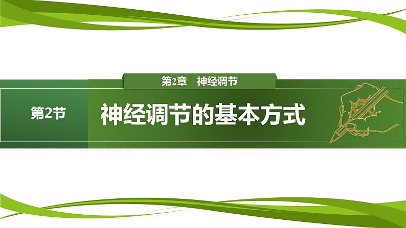 2.2+神经调节的基本方式（情境+问题探究课件）-2023-2024学年高二生物同步精品课件+分层训练（人教版2019选择性必修1） (1)01