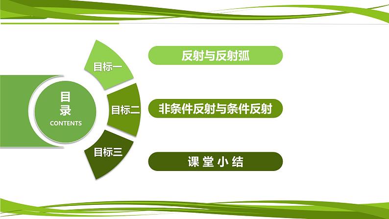 2.2+神经调节的基本方式（情境+问题探究课件）-2023-2024学年高二生物同步精品课件+分层训练（人教版2019选择性必修1） (1)04