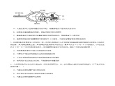 2.4 神经系统的分级调节（分层训练）-2023-2024学年高二生物同步精品课件+分层训练（人教版2019选择性必修1）