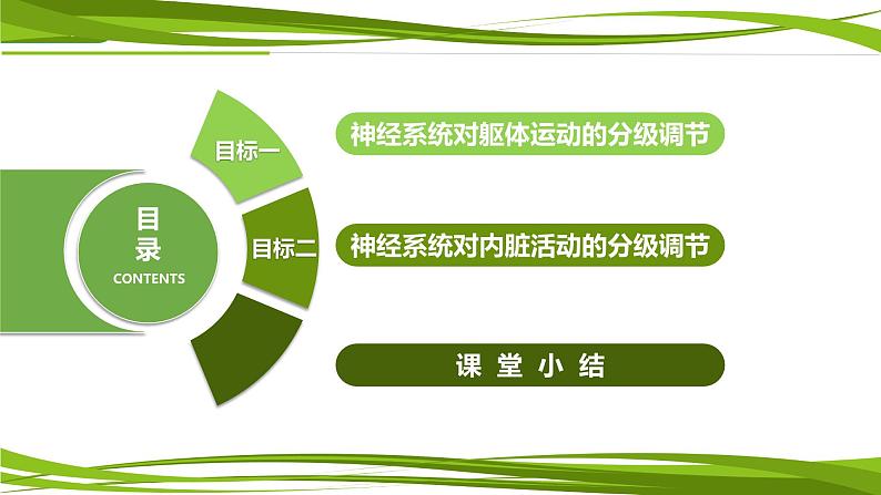 2.4 神经系统的分级调节（情境+问题探究课件）-2023-2024学年高二生物同步精品课件+分层训练（人教版2019选择性必修1）06