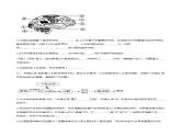 2.5 人脑的高级功能（分层训练）-2023-2024学年高二生物同步精品课件+分层训练（人教版2019选择性必修1）