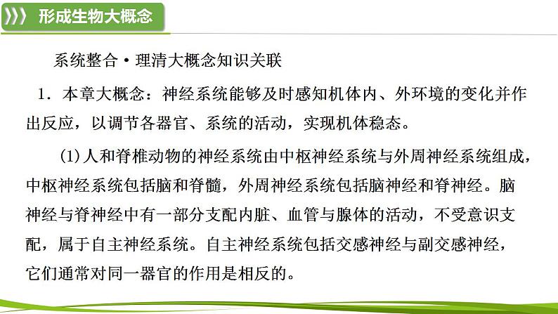 第2章 神经调节（复习课件）-2023-2024学年高二生物同步精品课件+分层训练（人教版2019选择性必修1）02