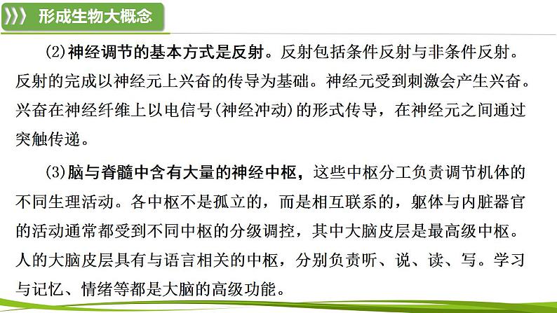 第2章 神经调节（复习课件）-2023-2024学年高二生物同步精品课件+分层训练（人教版2019选择性必修1）03