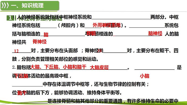 第2章 神经调节（复习课件）-2023-2024学年高二生物同步精品课件+分层训练（人教版2019选择性必修1）06