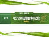3.1 内分泌系统的组成和功能（第2课时）（情境+问题探究课件）-2023-2024学年高二生物同步精品课件+分层训练（人教版2019选择性必修1）