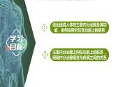 3.1 内分泌系统的组成和功能（第2课时）（情境+问题探究课件）-2023-2024学年高二生物同步精品课件+分层训练（人教版2019选择性必修1）