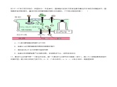 3.1 激素的发现及研究实例（第1课时）（分层训练）-2023-2024学年高二生物同步精品课件+分层训练（人教版2019选择性必修1）